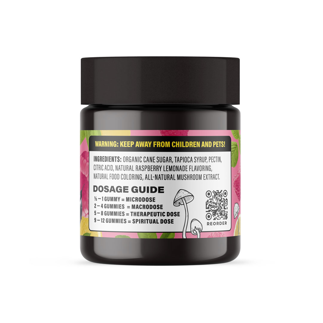 Fresh Fruit Farms Raspberry Lemonade Gummies Bottle - Image 3